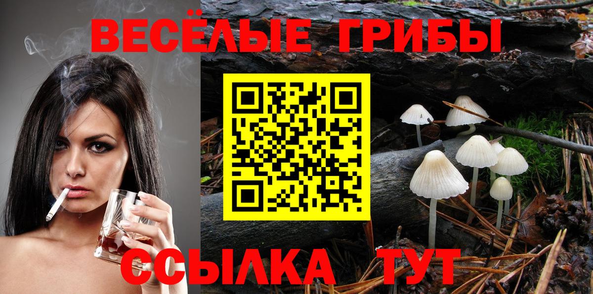 Волгоград  Псилоцибиновые грибы мицелий  Вход с VPN  где купить   Псилоцибиновые грибы Magic Shrooms 
